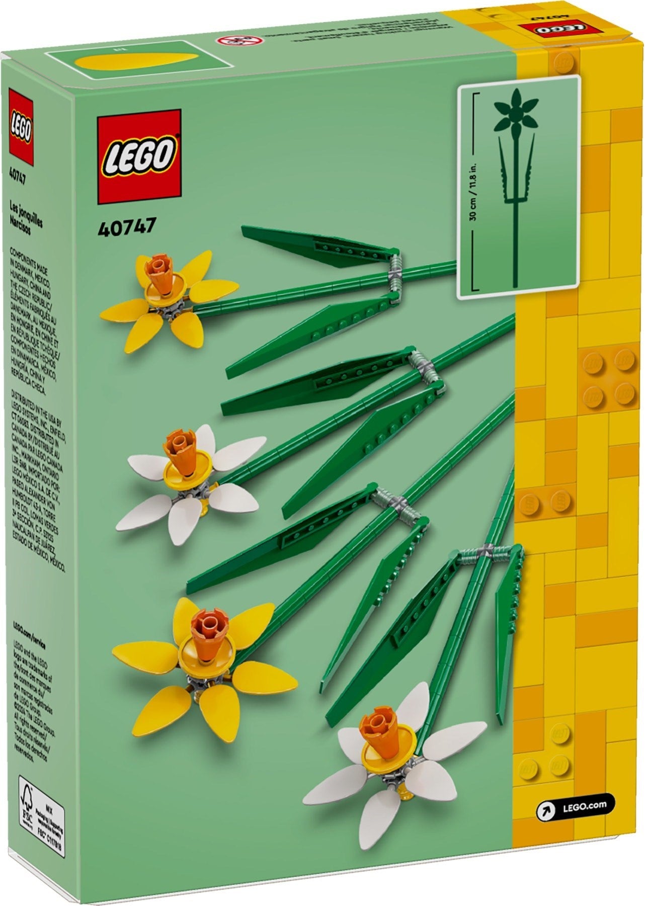40747 Daffodils