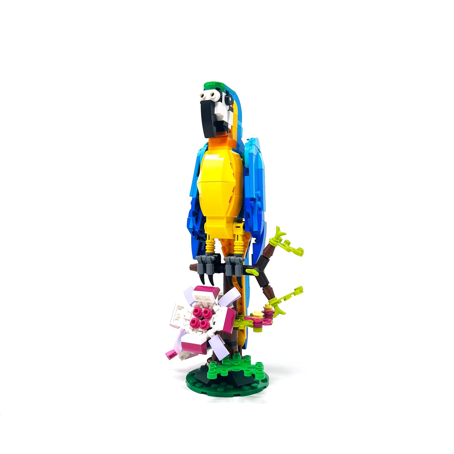 31136 Exotic Parrot - Certified Used
