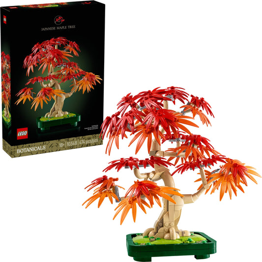 10348 Japanese Maple Tree