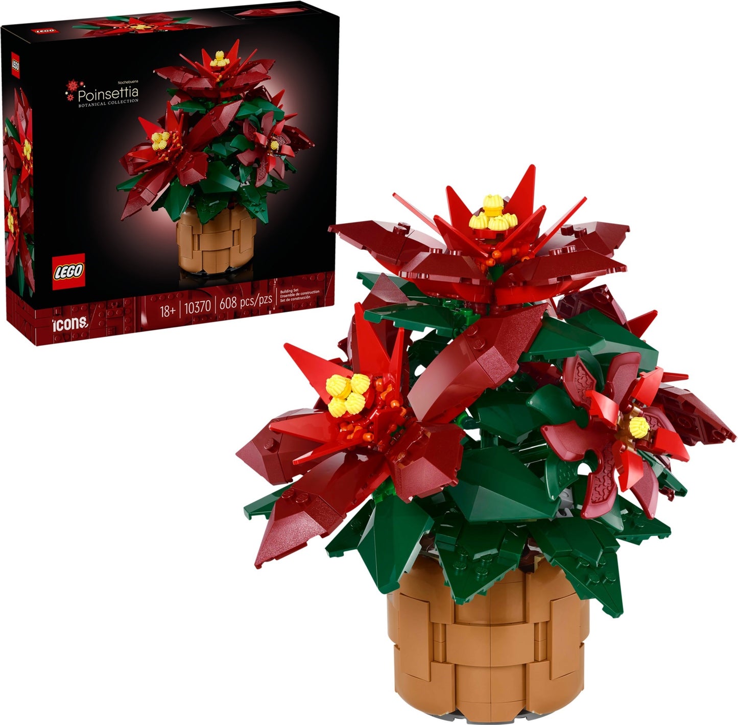 10370 Poinsettia