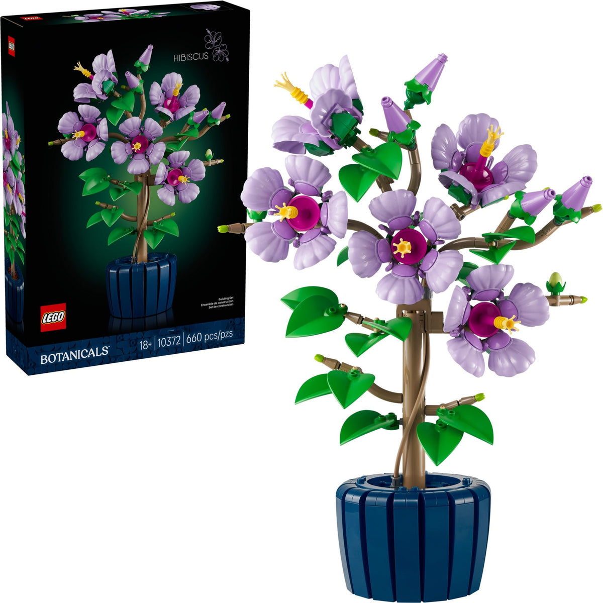 10372 Hibiscus