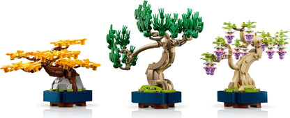 10373 Mini Bonsai Trees