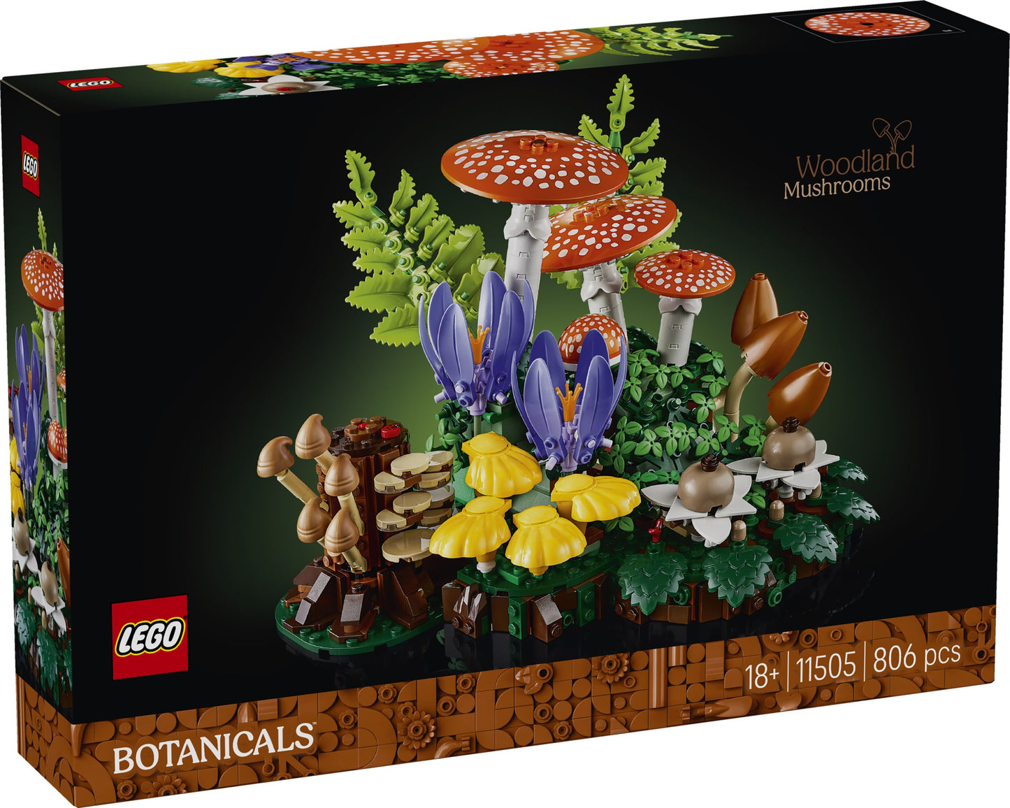 11505 Woodland Mushrooms