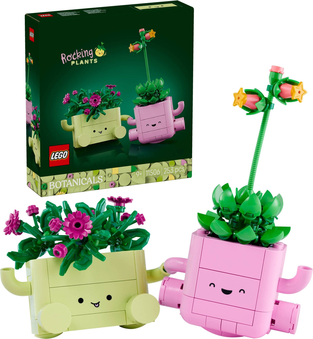 11506 Rocking Plants