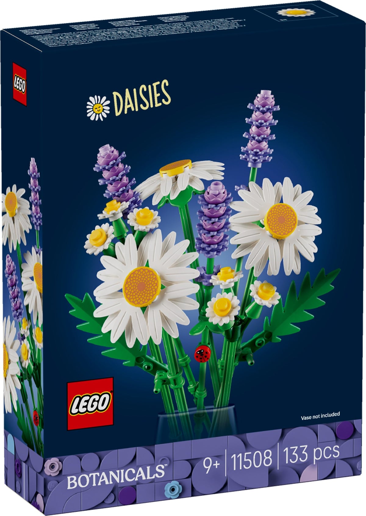 11508 Daisies