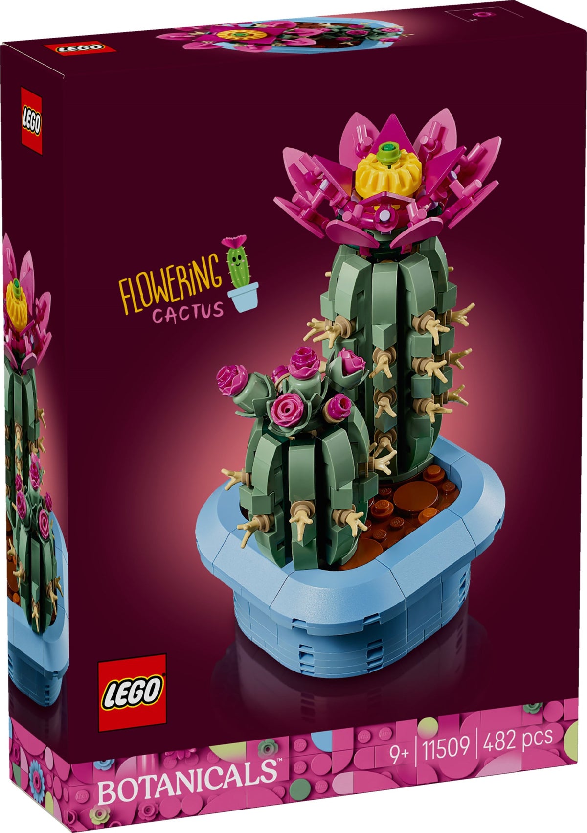11509 Flowering Cactus