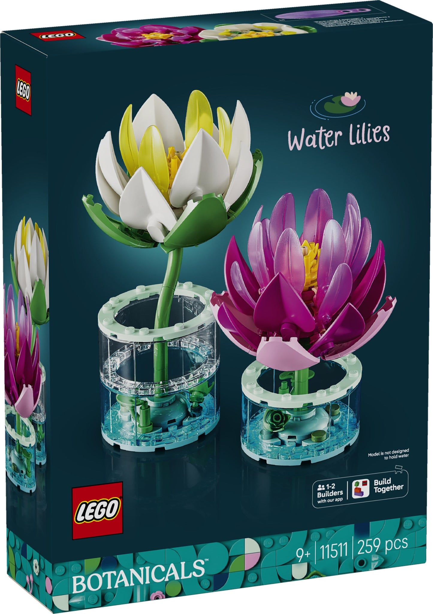 11511 Water Lilies