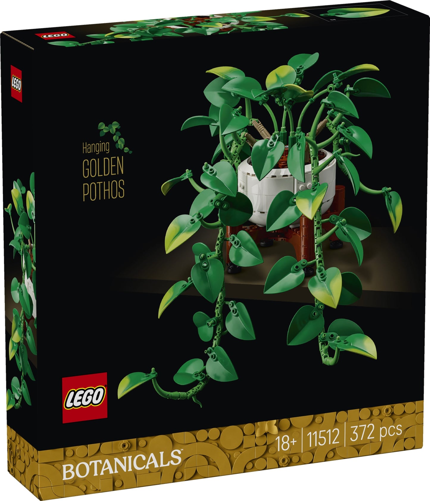 11512 Hanging Golden Pothos