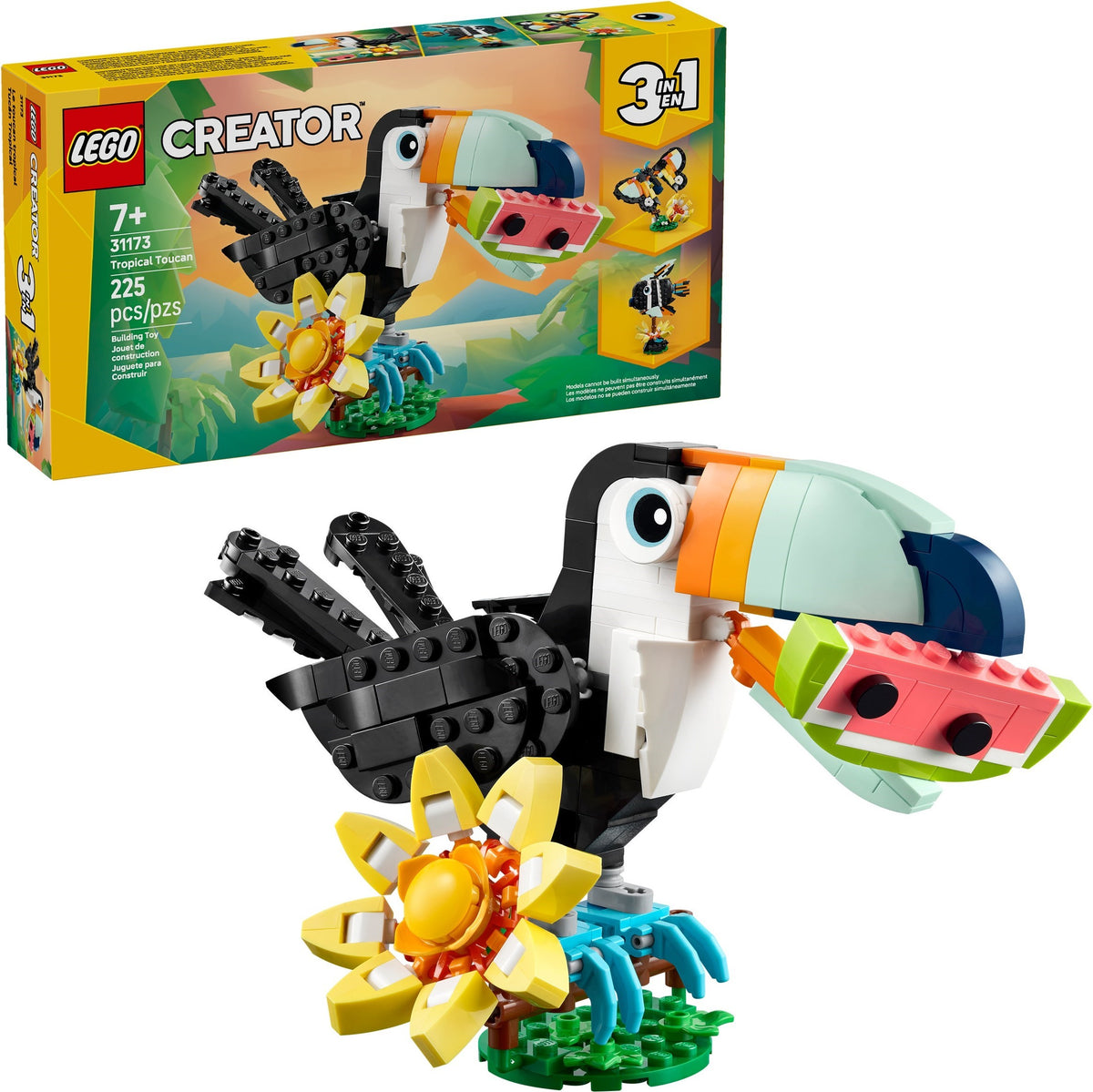 31173 Tropical Toucan