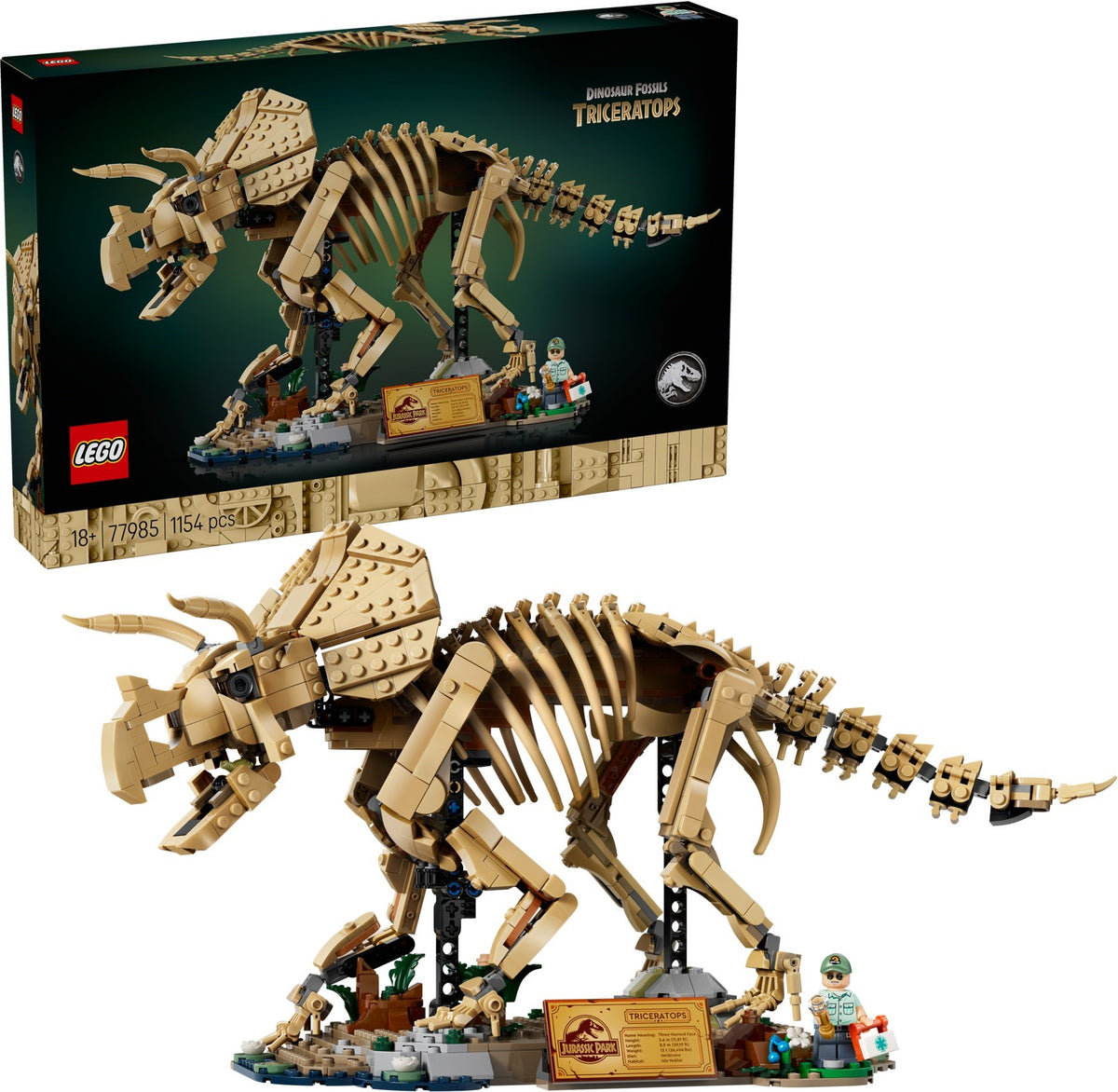 77985 Dinosaur Fossils: Triceratops