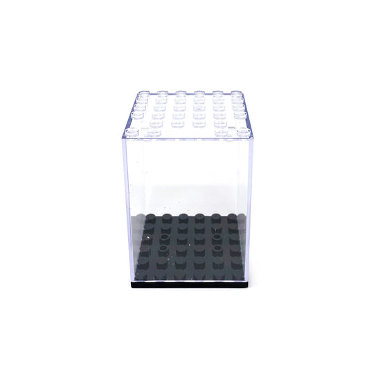 Figure Display Case